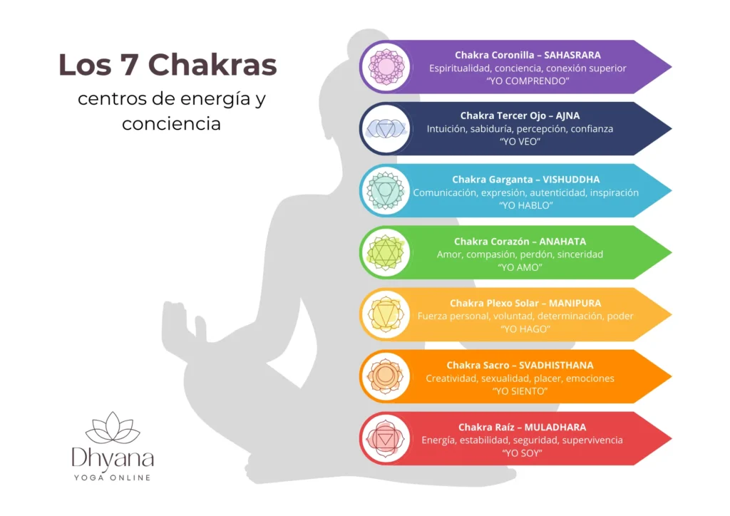 Los 7 chakras centros de energía y conciencia